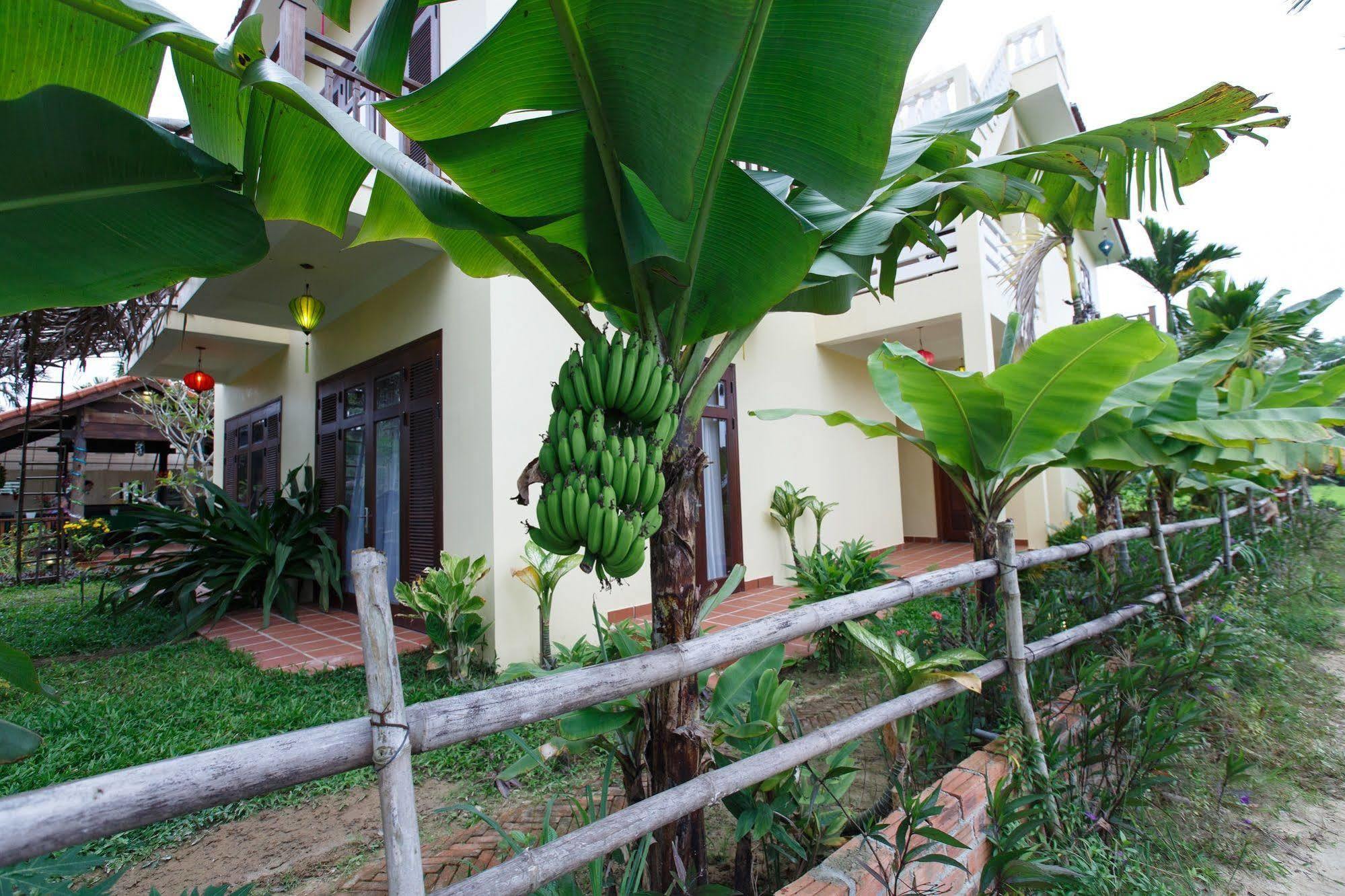Lama Villa Hội An Extérieur photo